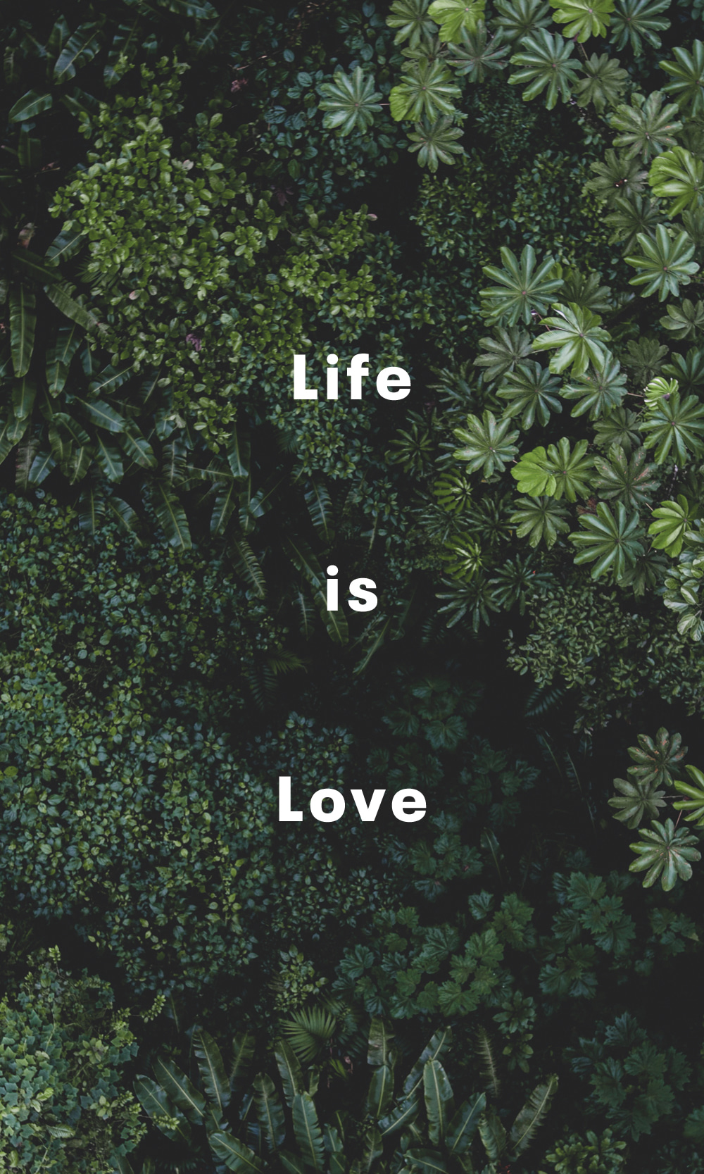 Life is Love
